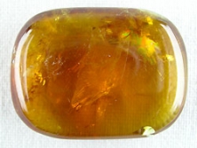 Calcit Honig ohne Lochung [ca.8x20x30 mm]