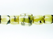 Koralle Pacific Verlauf 8-15 mm