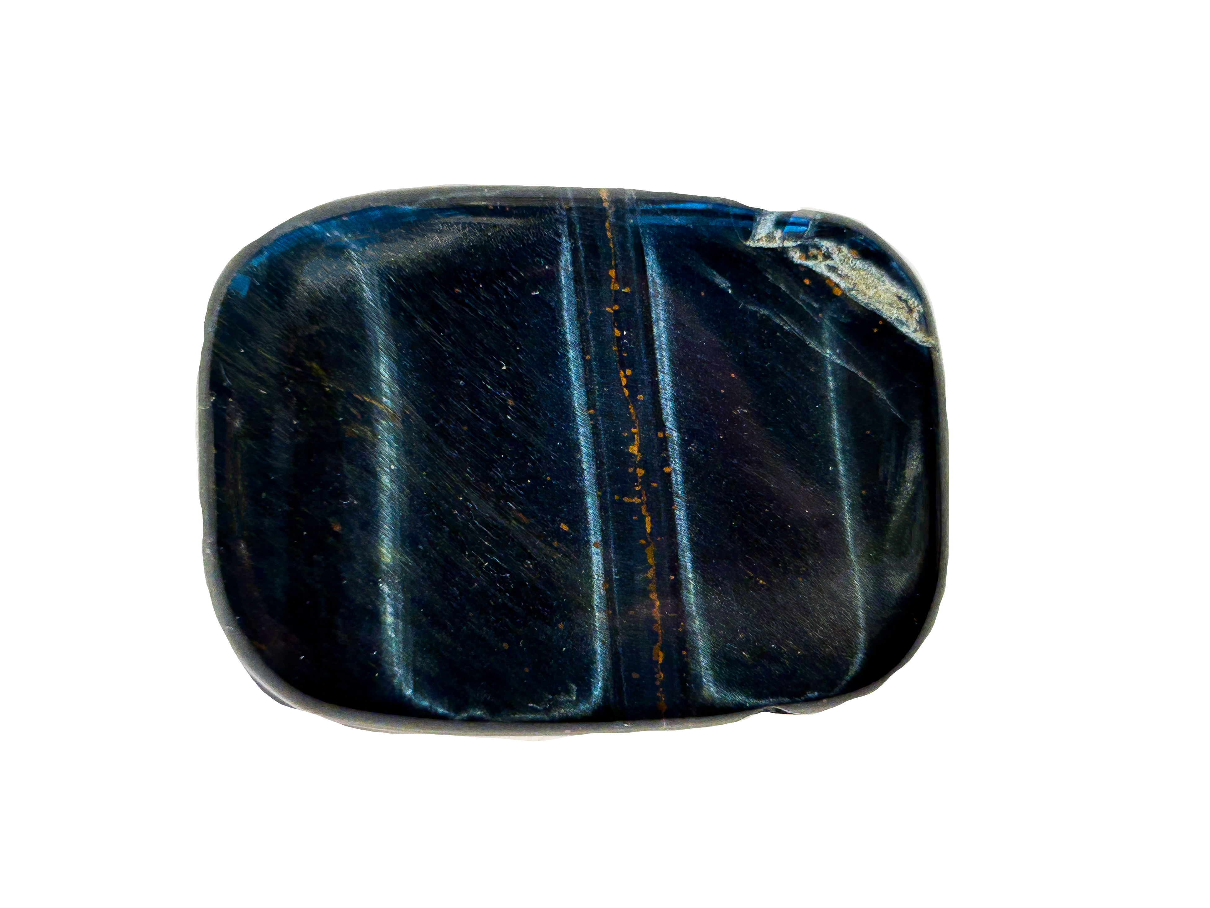 Falkenauge A+ ohne Lochung [ca.8x30x40 mm]