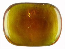 Calcit Honig ohne Lochung [ca.8x20x30 mm]